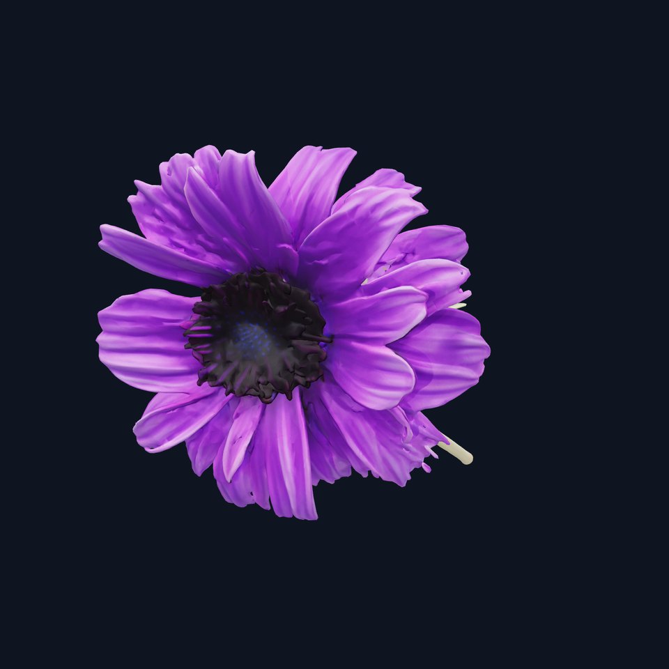 Purple Cornflower Realistic Botanical Model Pack