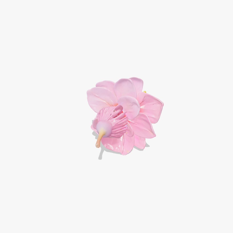 Lonicera Pink Botanical Representation model pack