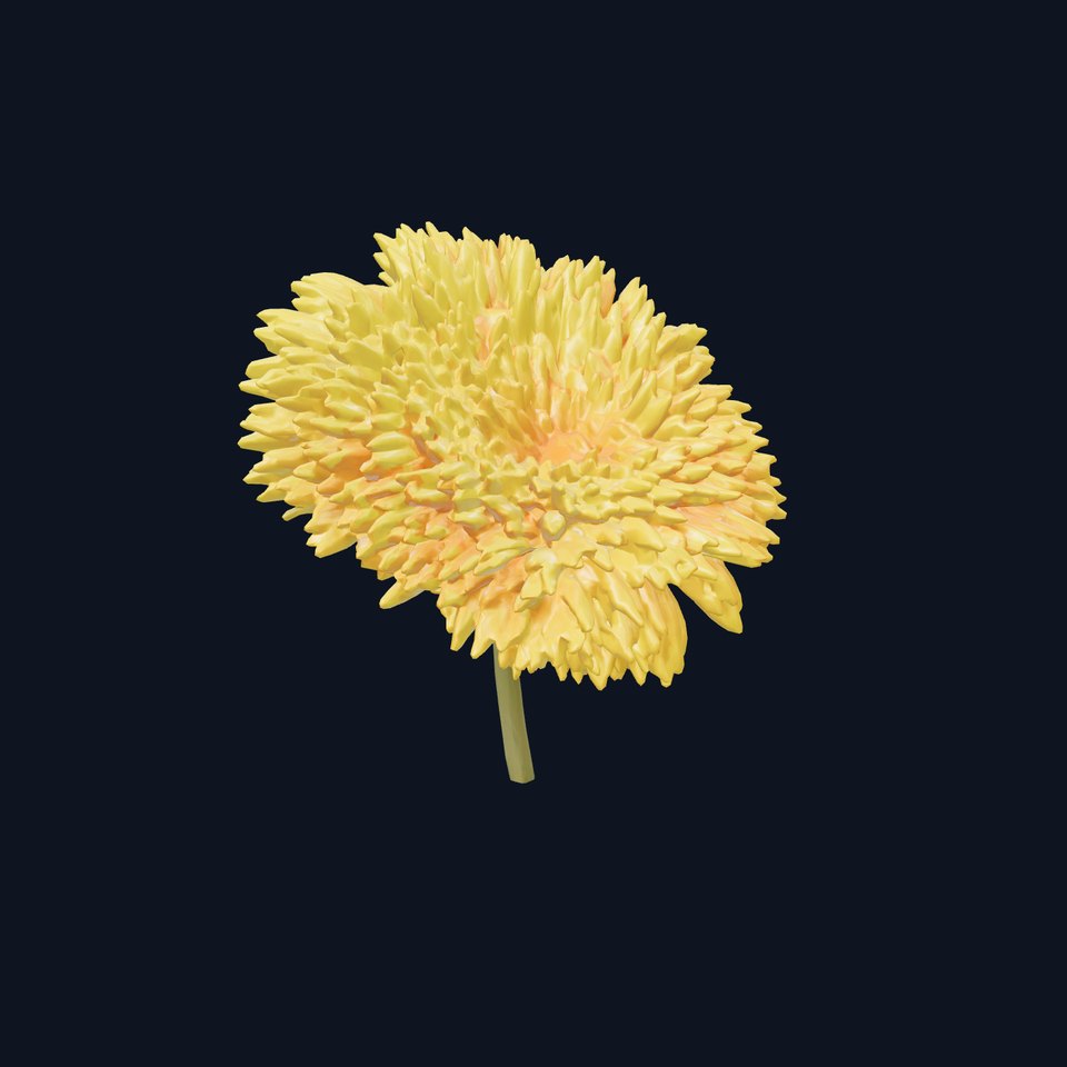Chrysanthemum Yellow Sunlit Texture model pack