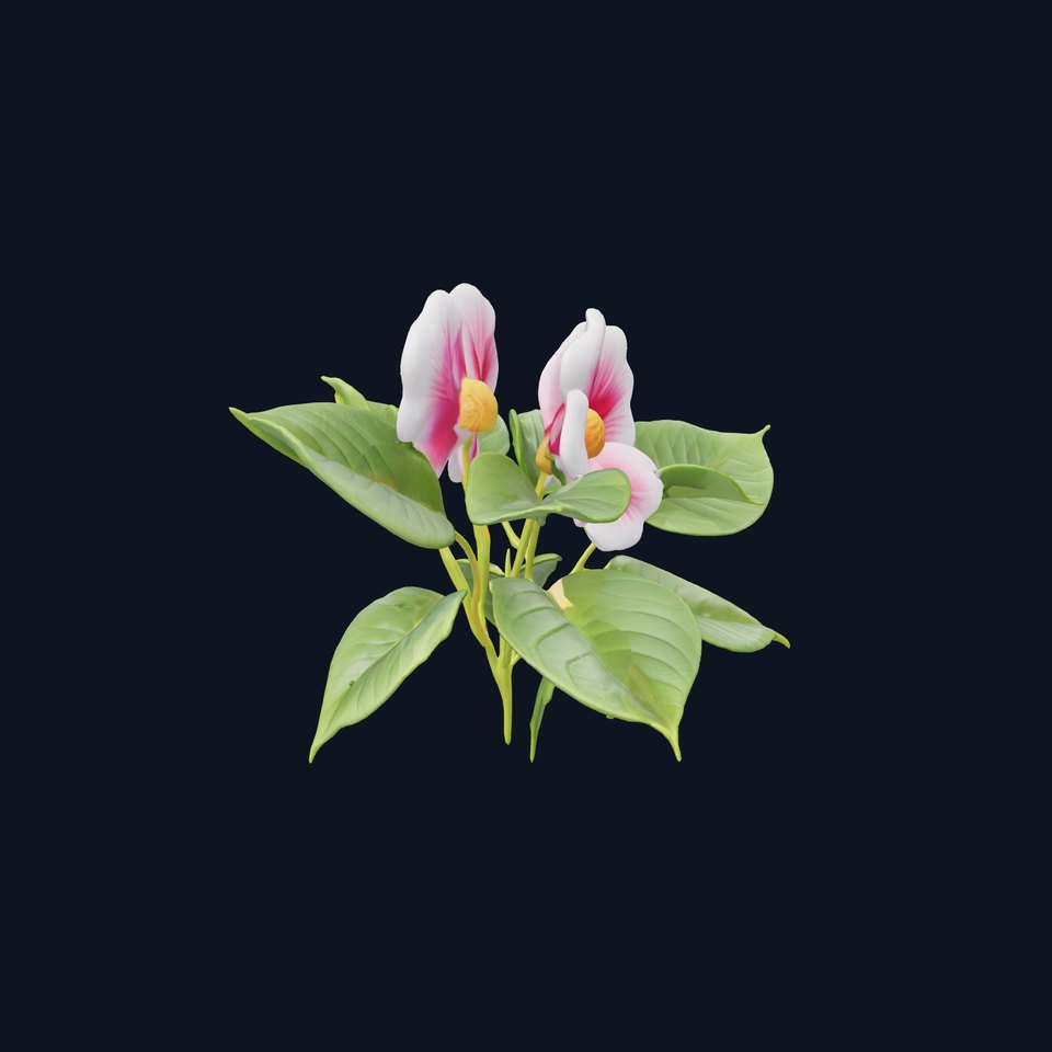 Ipomoea Flower Collection Hyper-realistic model pack