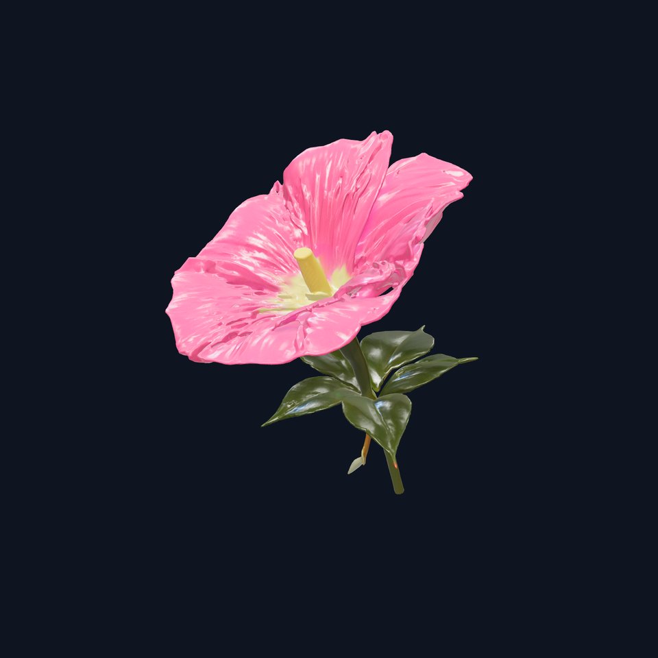 Ipomoea Pink Flower Natural Curves model pack