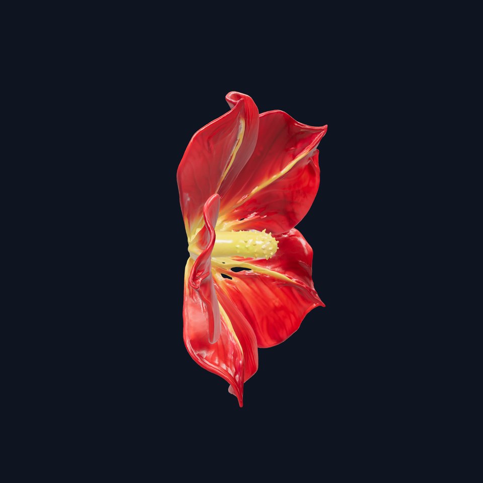 Ipomoea Red Flower Model Pack