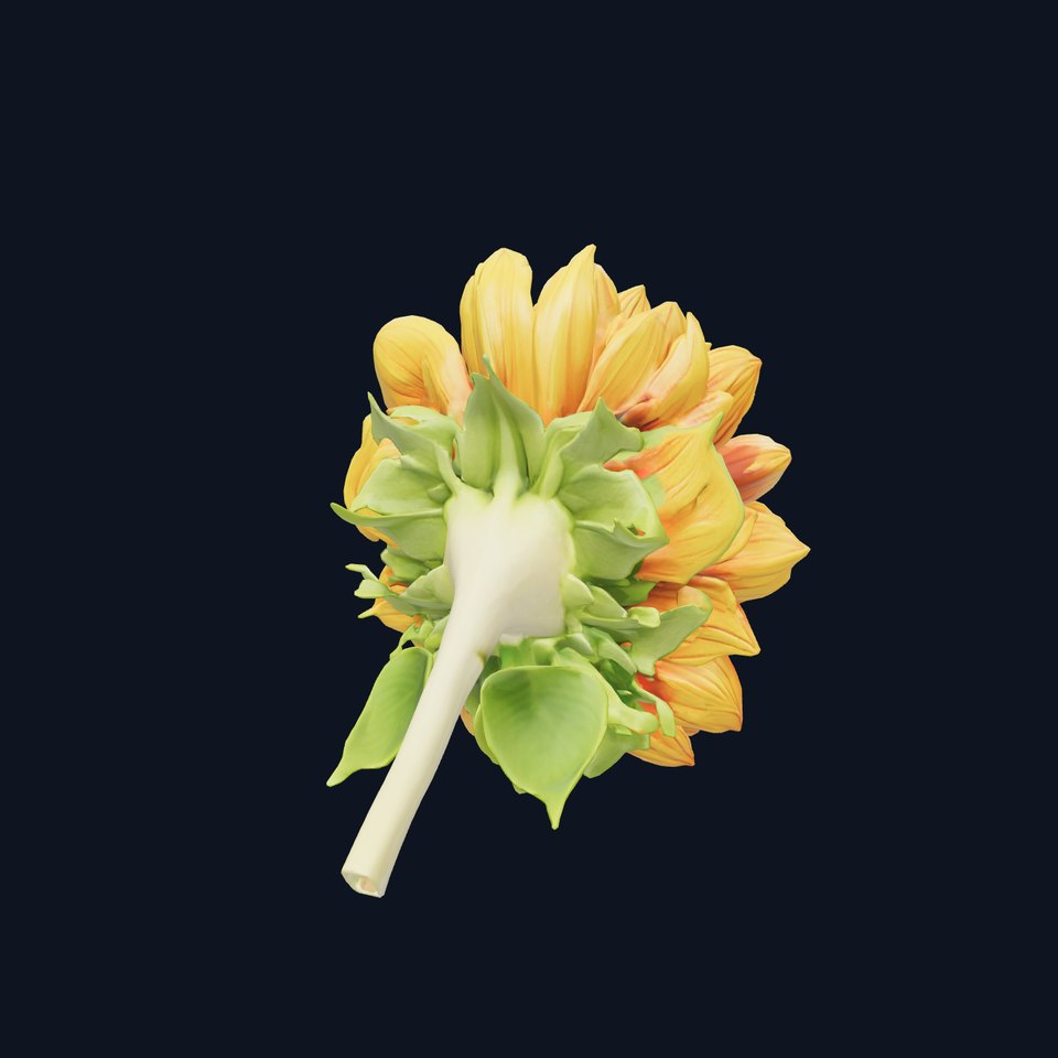Veined Sunflower Realistic Petals 3D Model Pack
