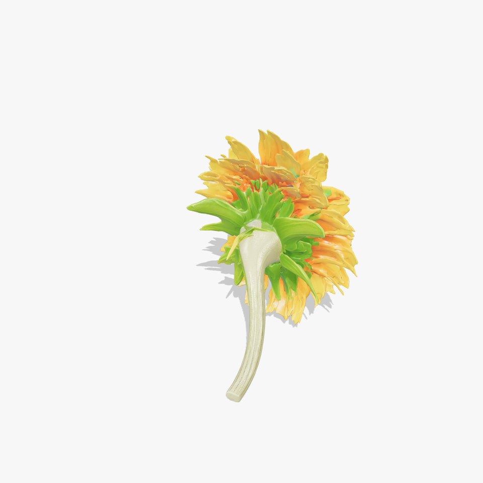 Textured Sunflower Model Pack for Realistic Rendering and Games