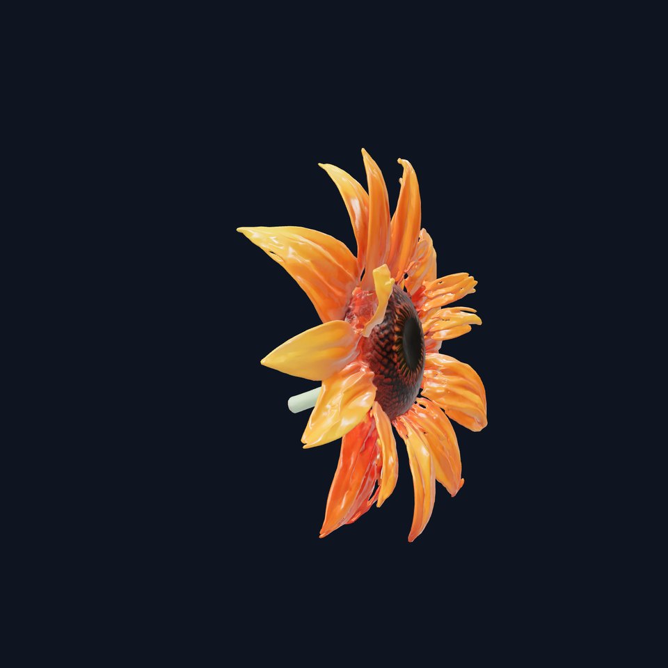 Orange Sunflower Lifelike 3D Model Pack