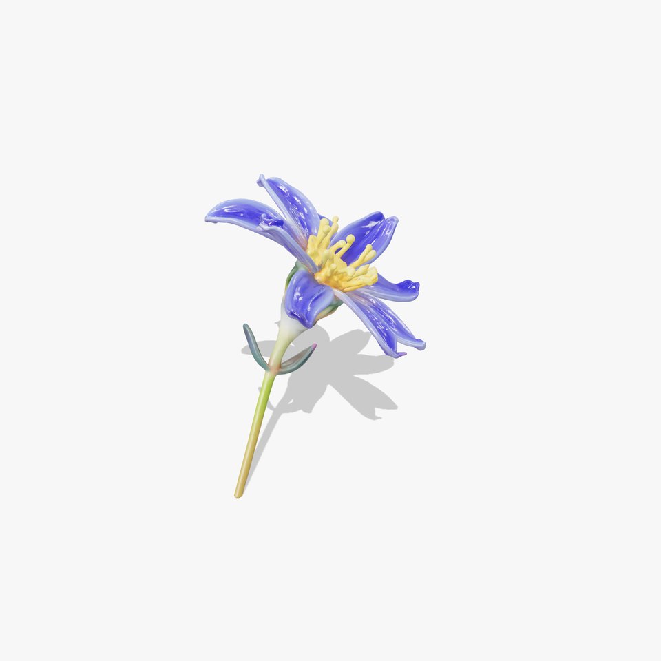 Lavandula Blue Flower Natural Texture model pack