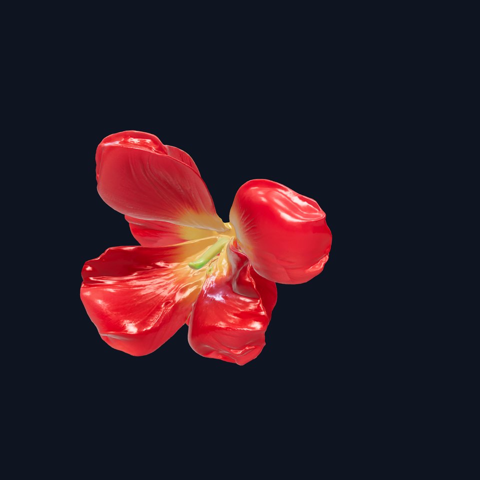 Freesia Red Petal Realism Model Pack
