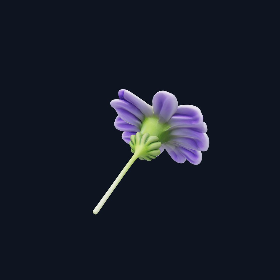 Lavandula Bicolor Flower Gradient Petals model pack