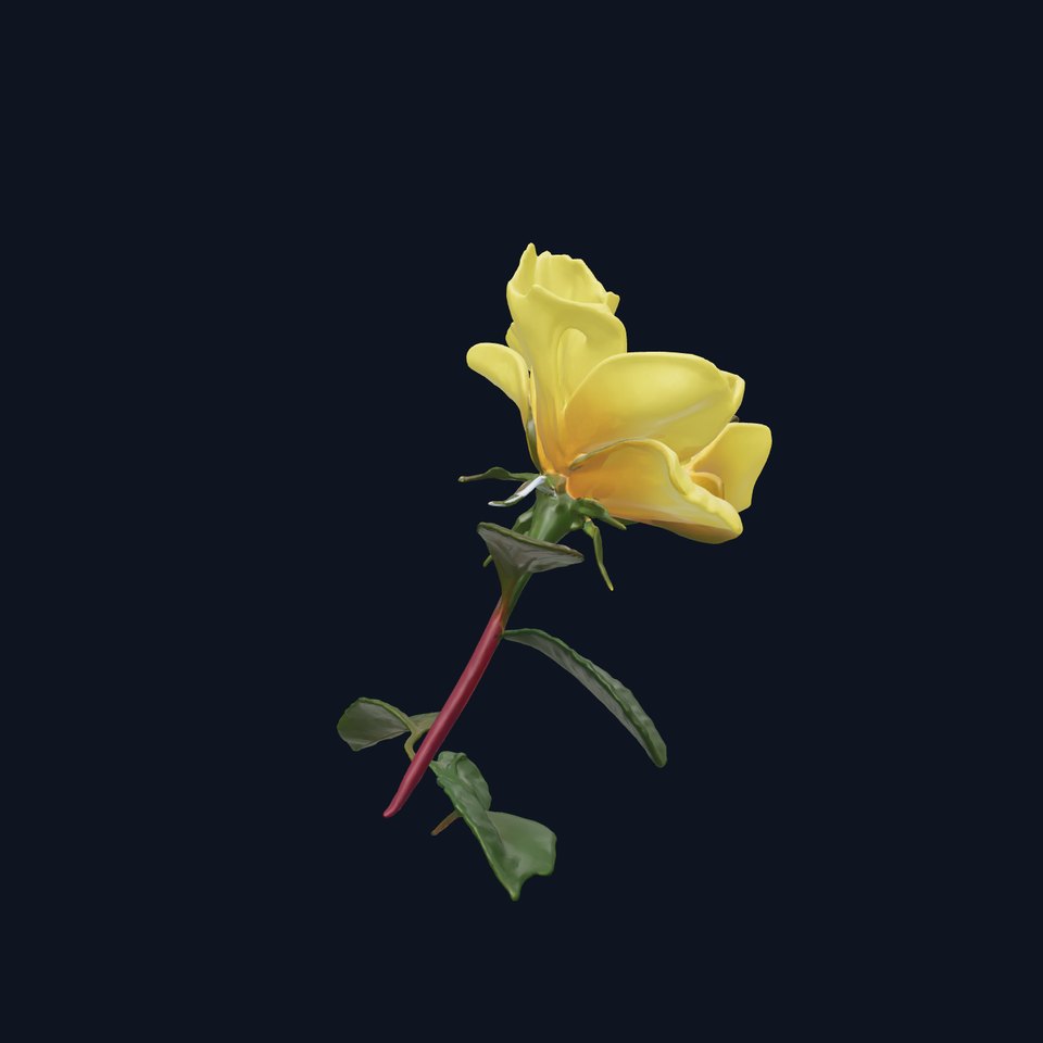 Sunlit Yellow Rose Petals model pack