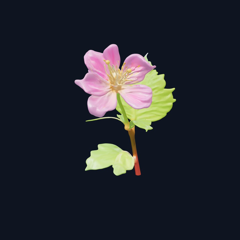 Rosa Minor Small Flower Model Pack