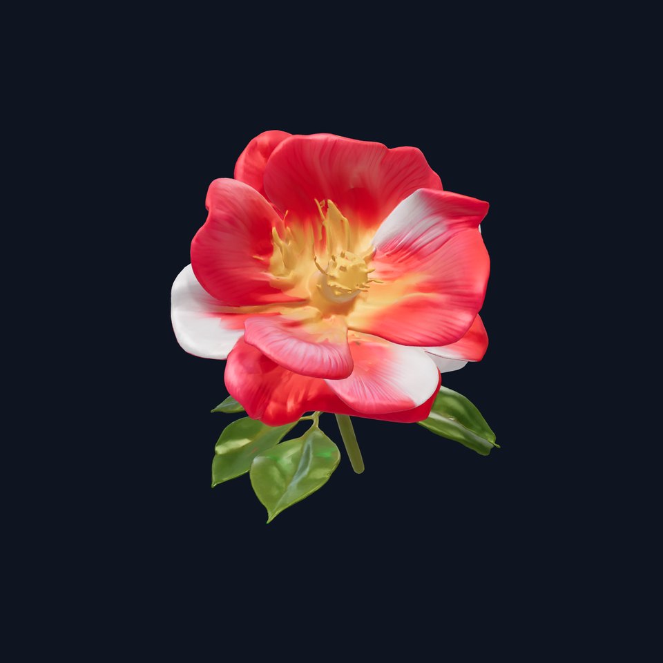 Rosa Bicolor Flower Elegant Model Pack