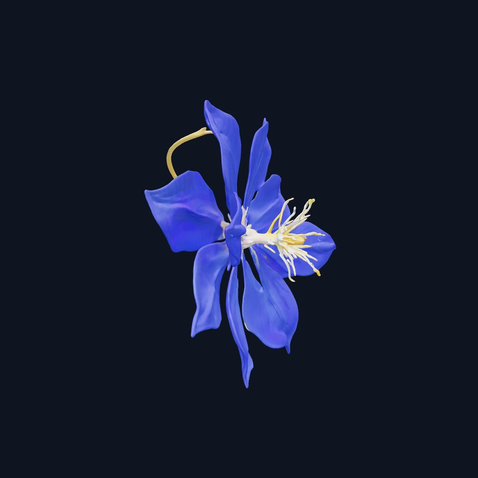 Blue Clematis Detailed Flower Sculpture model pack