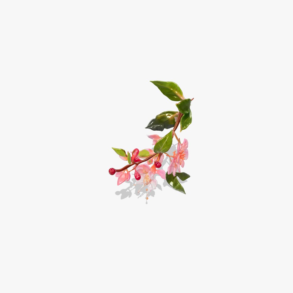 Lonicera Minor Vibrant Petals and Foliage model pack