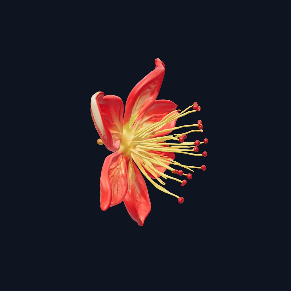 Lonicera Red Floral Sculpture model pack