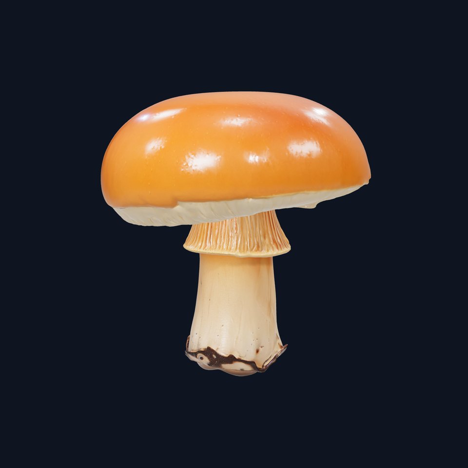 Autumn Boletus Mushroom Realistic Textures model pack