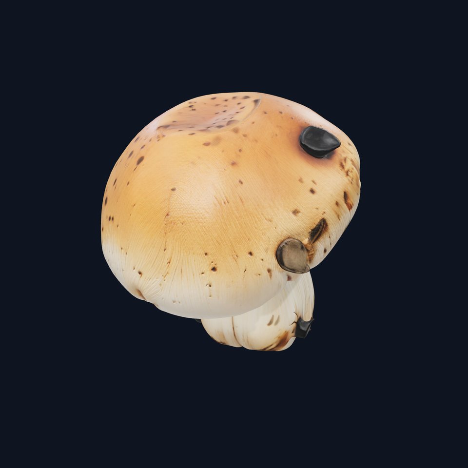 Realistic Damaged Boletus Mushroom model pack