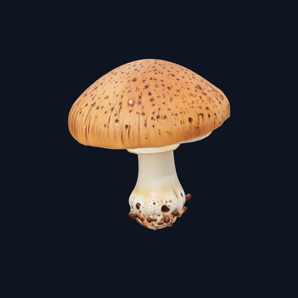 Giant Boletus Mushroom Realistic Textured model pack