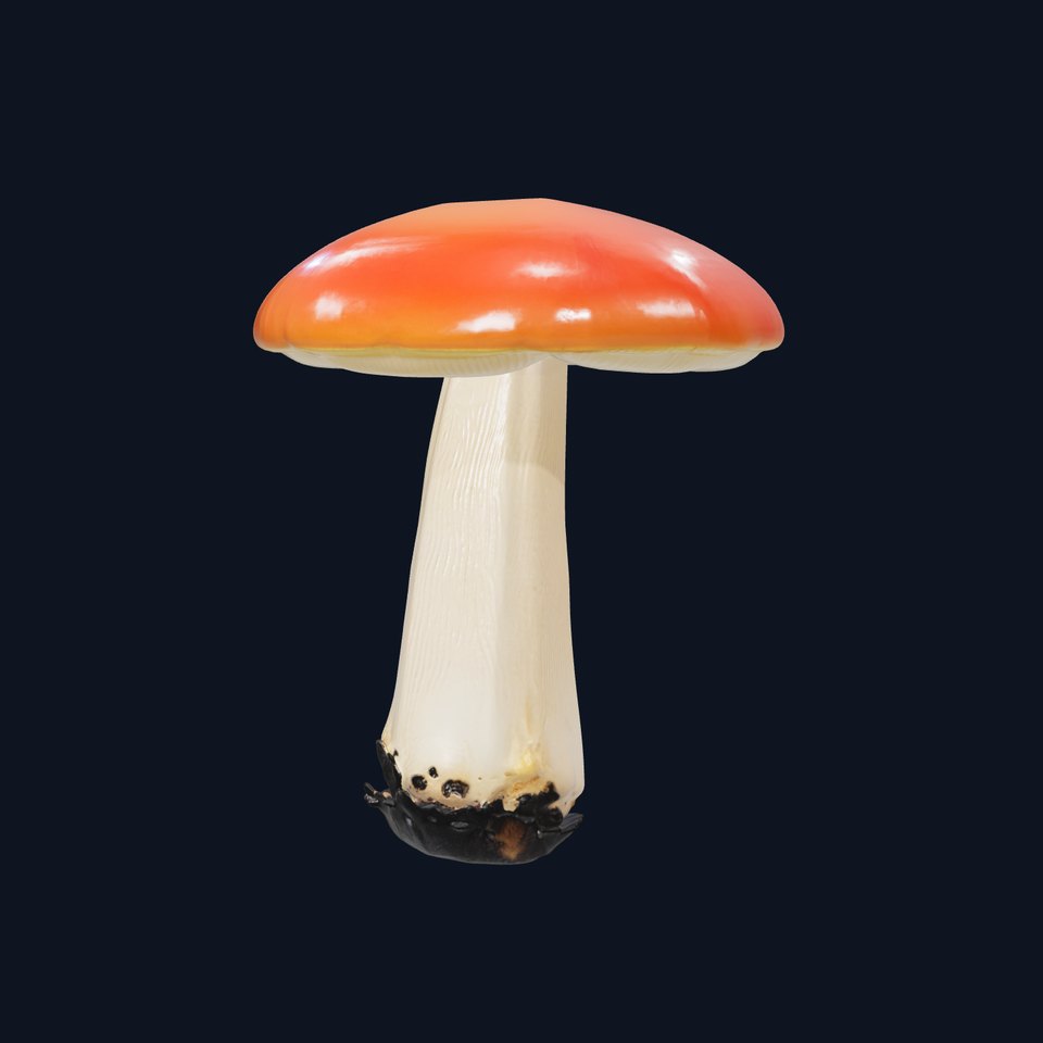 Elegant Slim Red-Cap Mushroom model pack