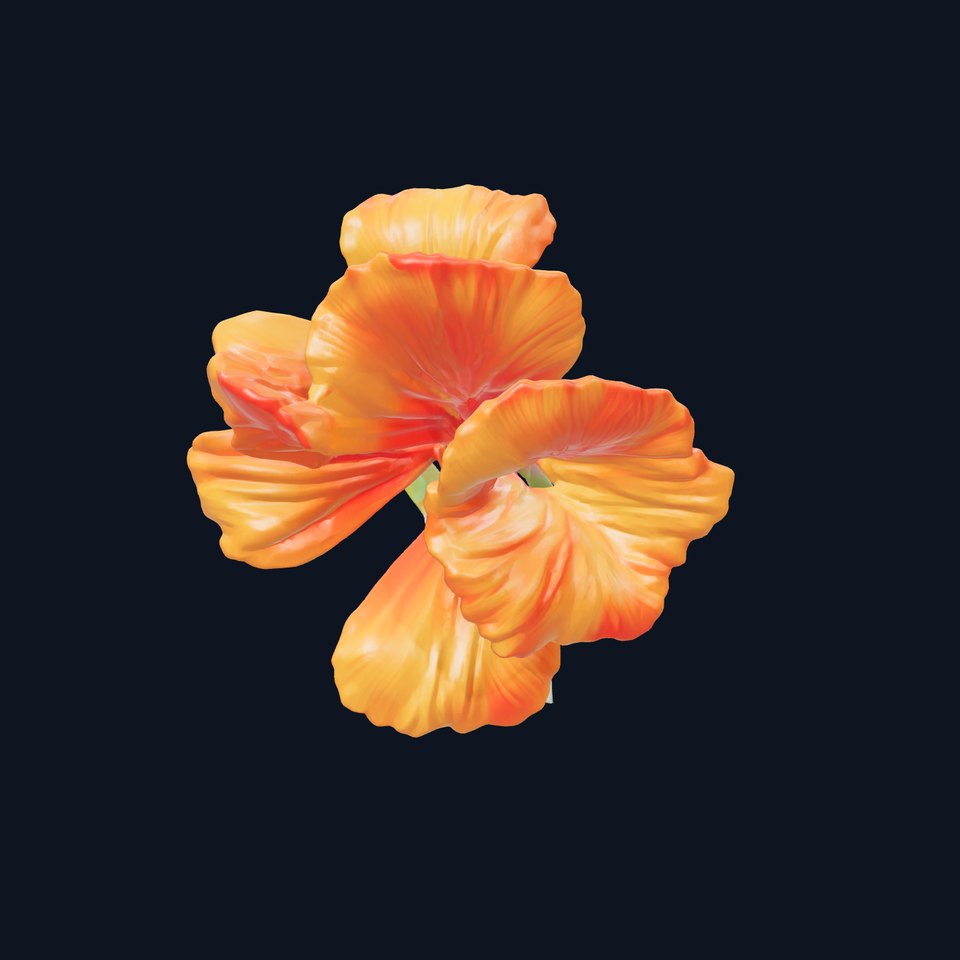 Vivid Orange Gladiolus Flower Detailed Model Pack