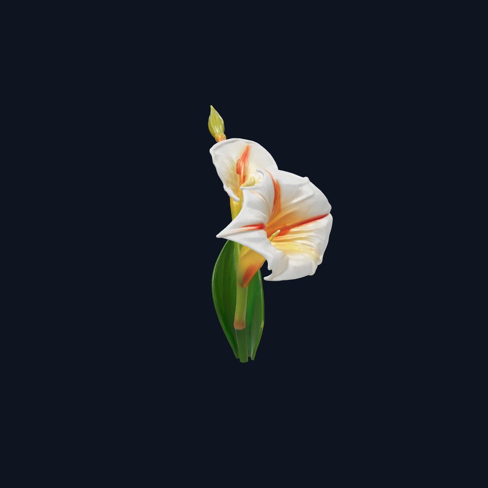 Elegant Gladiolus Floral Sculpture model pack