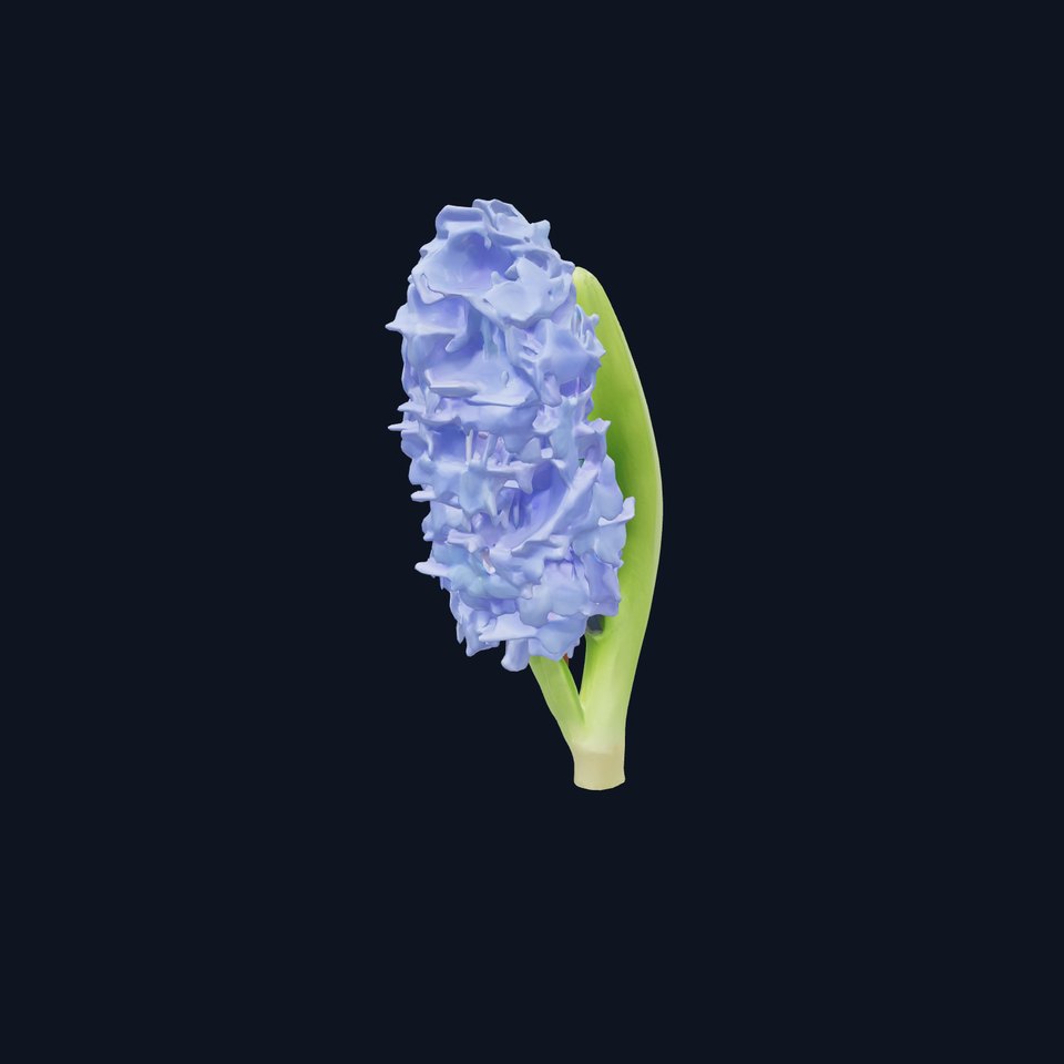 Hyacinth Flower Realistic Model Pack