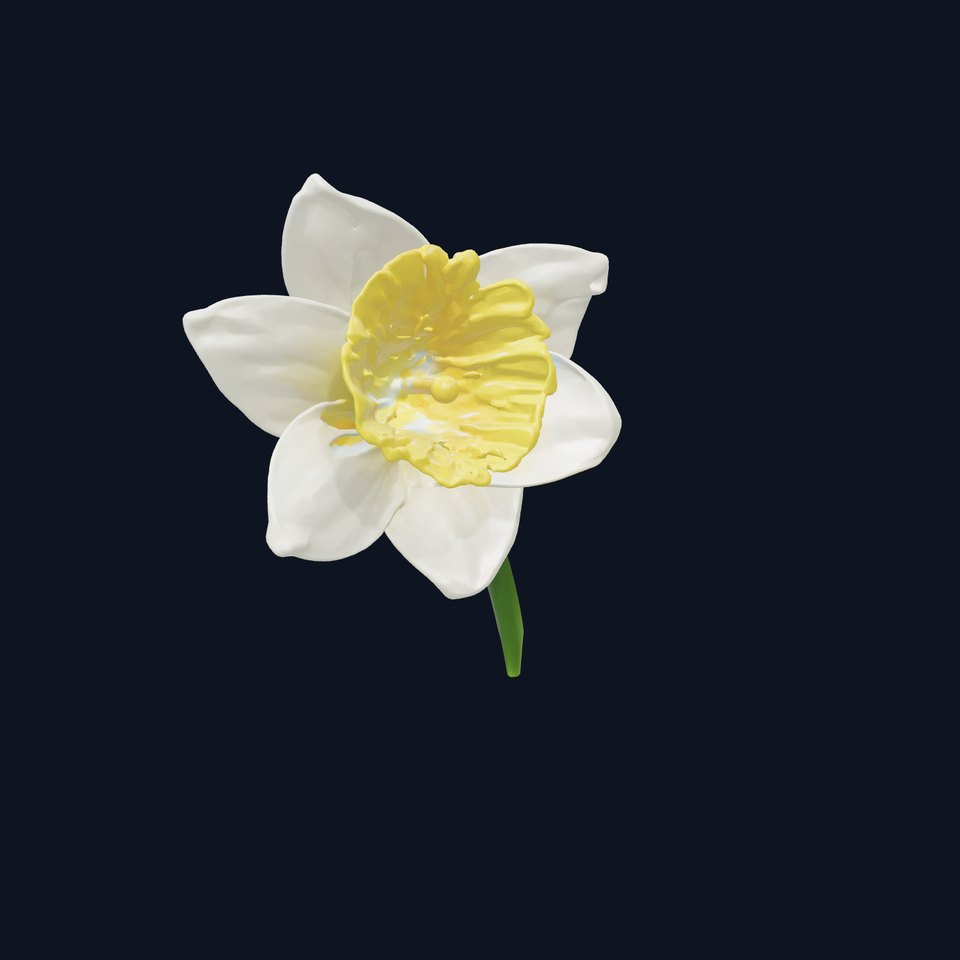 White Narcissus Flower Realistic Textured Model Pack