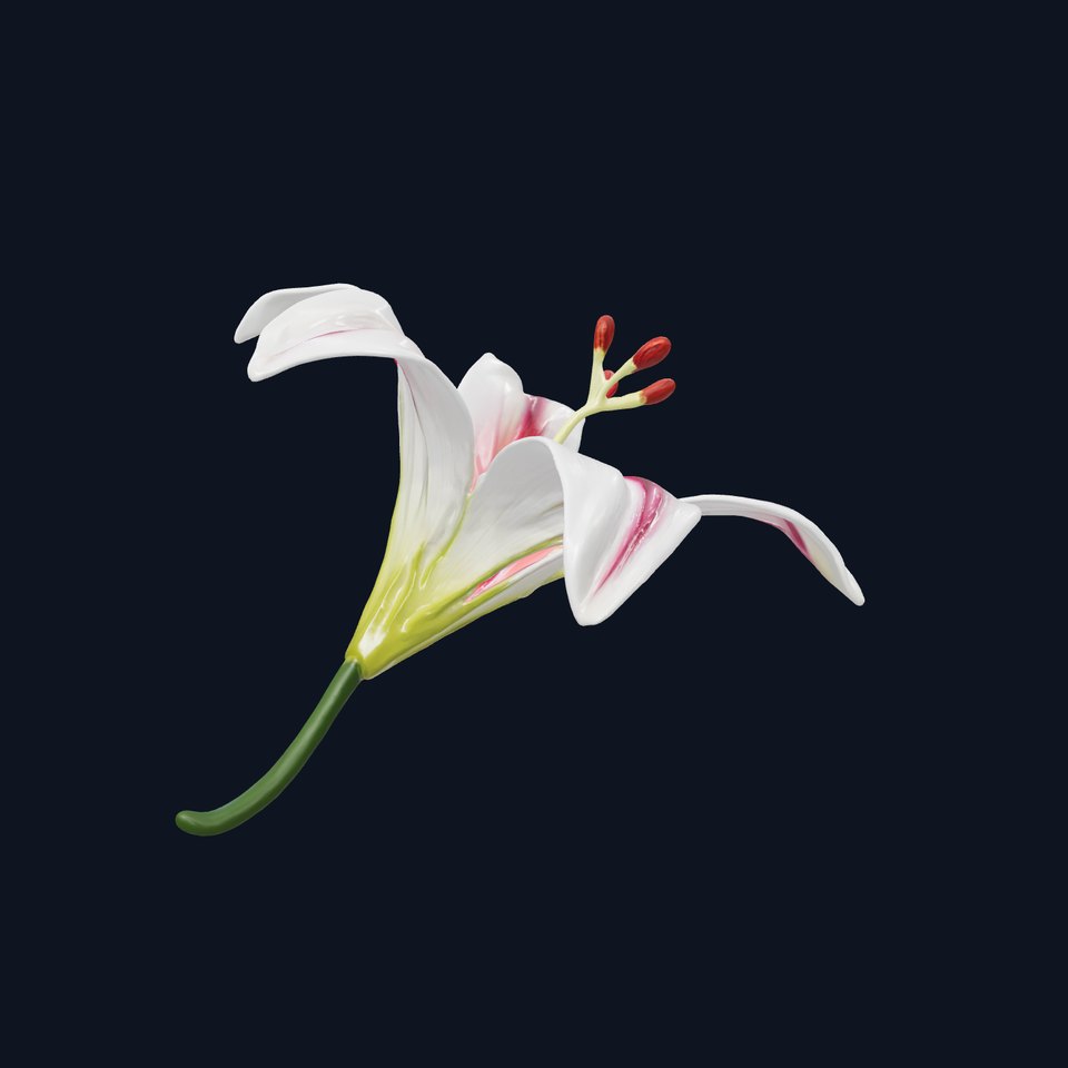 Martagon Lily Floral Model Pack with Intricate Petals