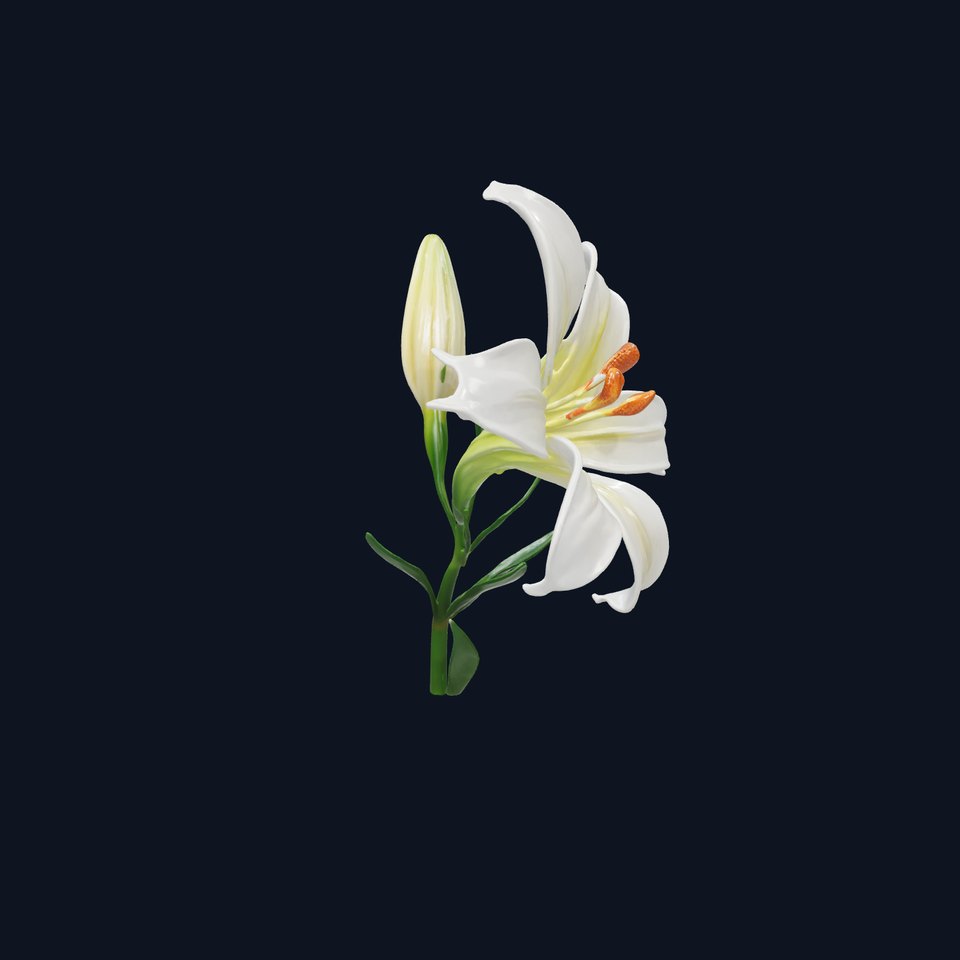 Majestic White Lily Floral Sculpture model pack