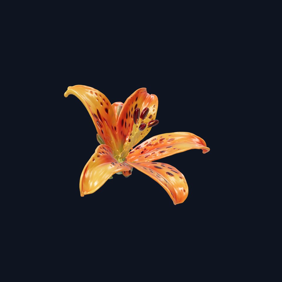 Leopard Lily Botanical Floral Sculpture model pack