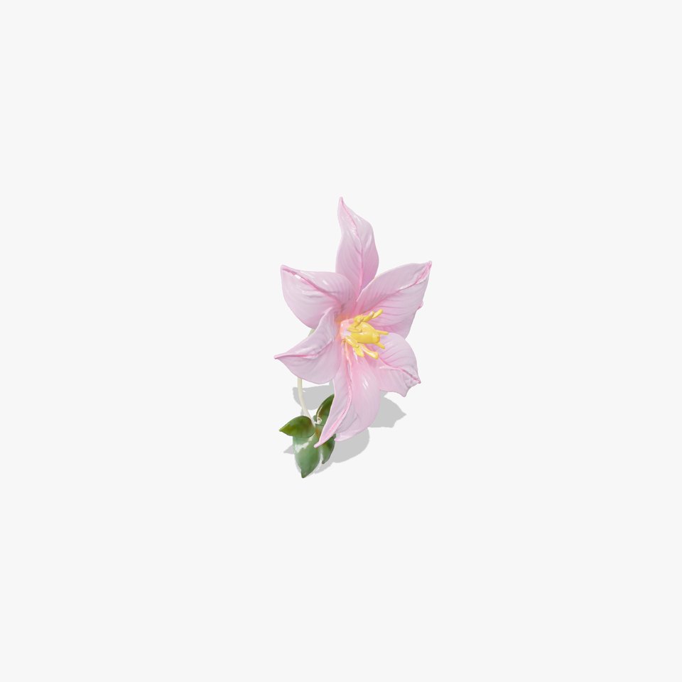 Soft Pink Clematis Flower with Glossy Vines model pack