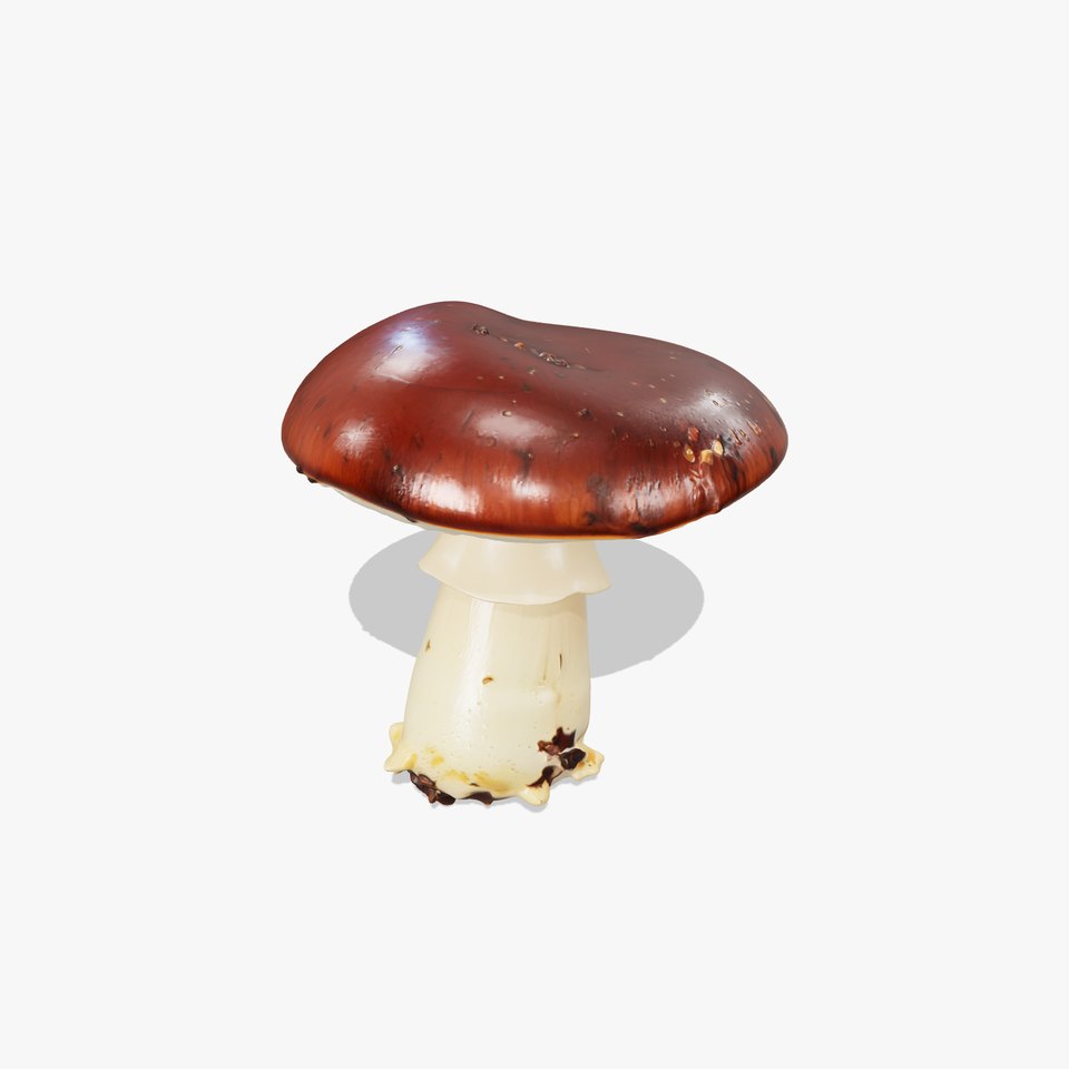 Damaged Mushroom with Authentic Marks model pack