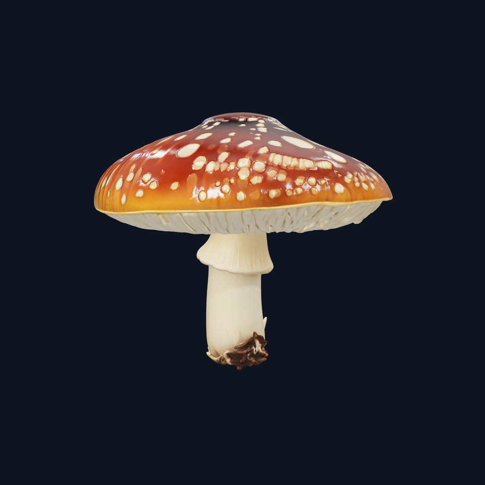 Butterfly Mushroom Realistic Texture model pack