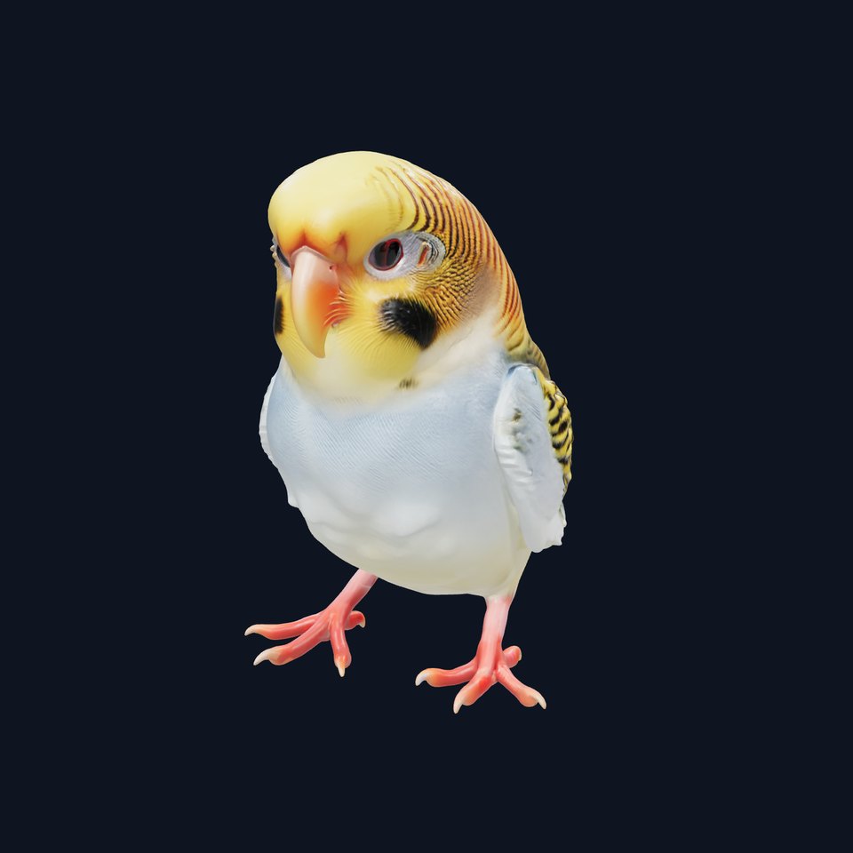 Budgerigar Feathered Bird Sculpture model pack