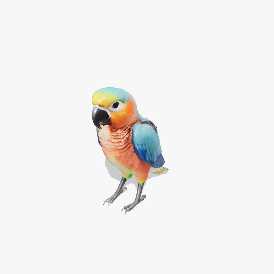 Colorful Parrot Species 3D Model Pack