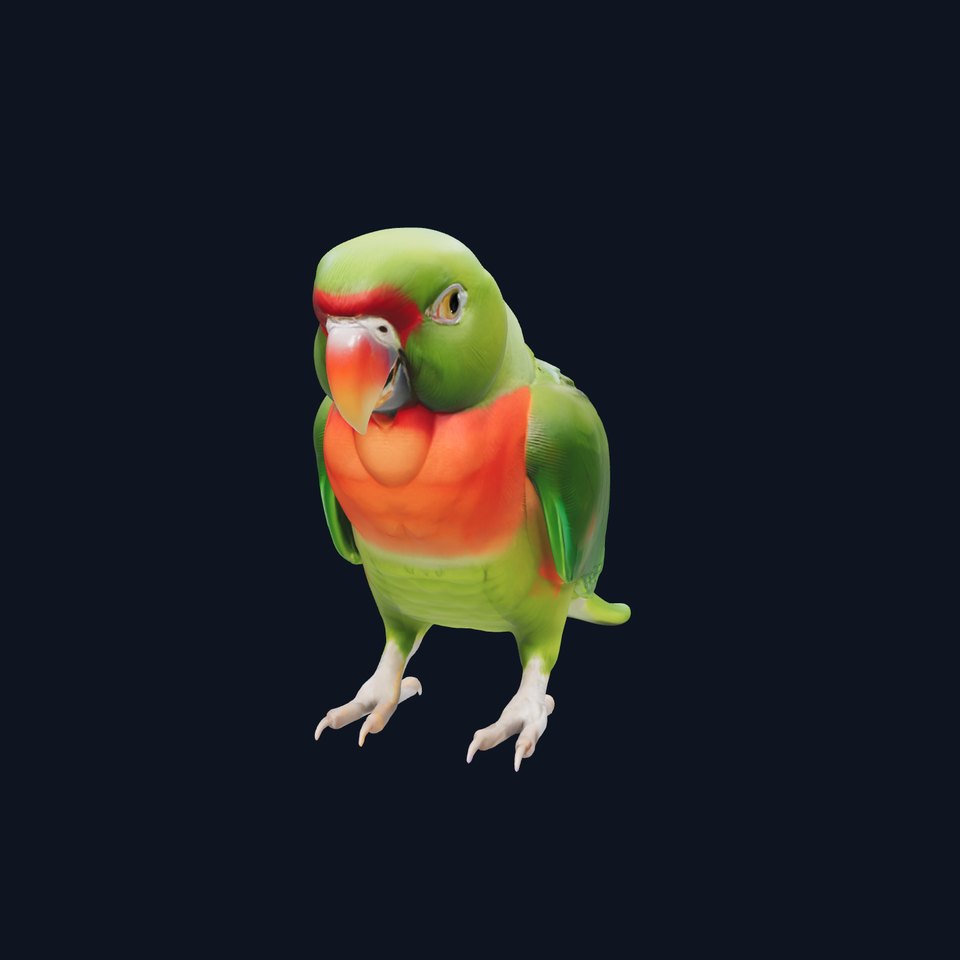 Eclectus Parrot Realistic Model Pack