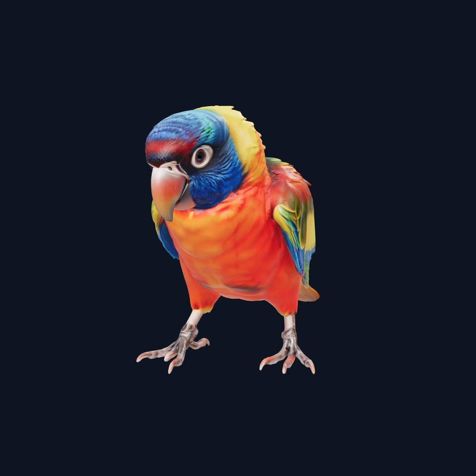 Vibrant Lory Parrot Sculptural model pack