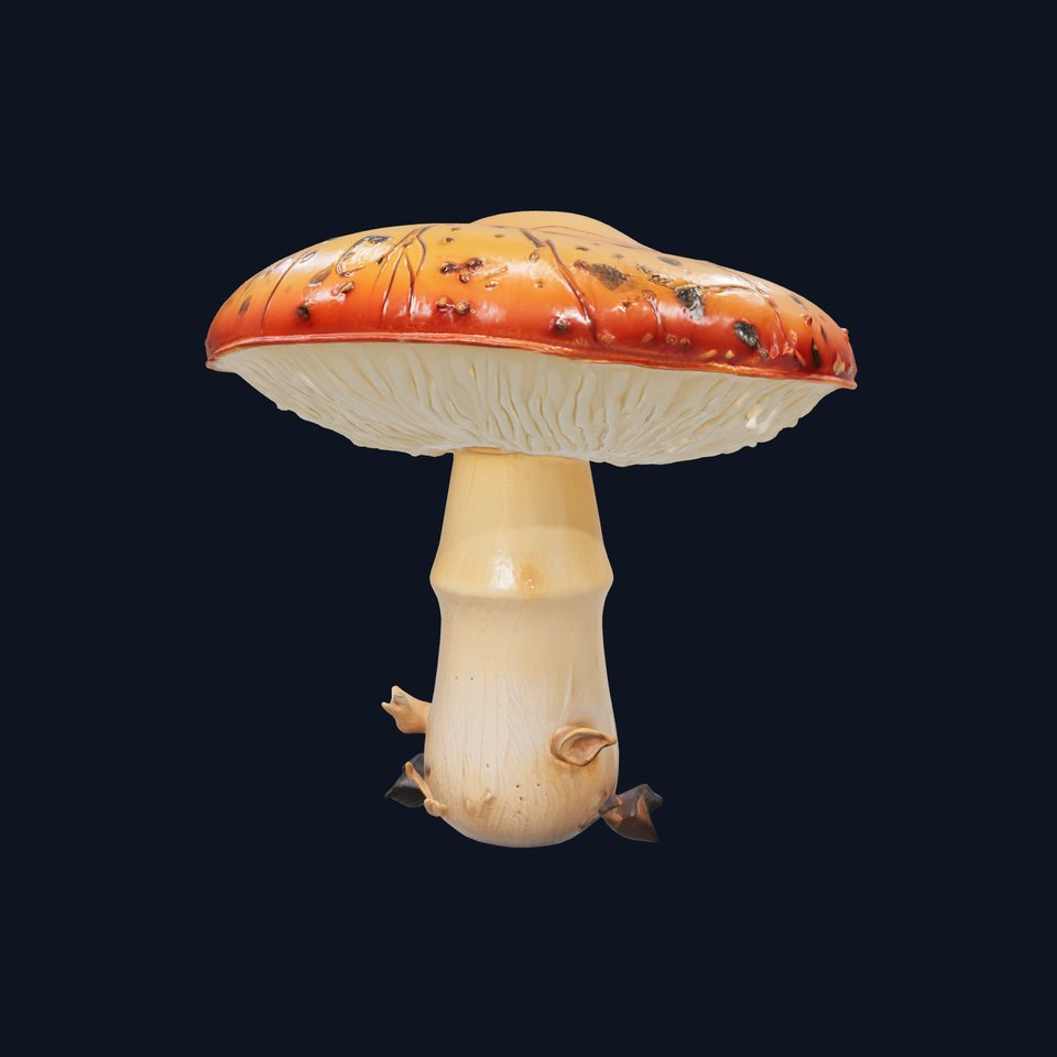 Rustic Chanterelle Mushroom Model Pack