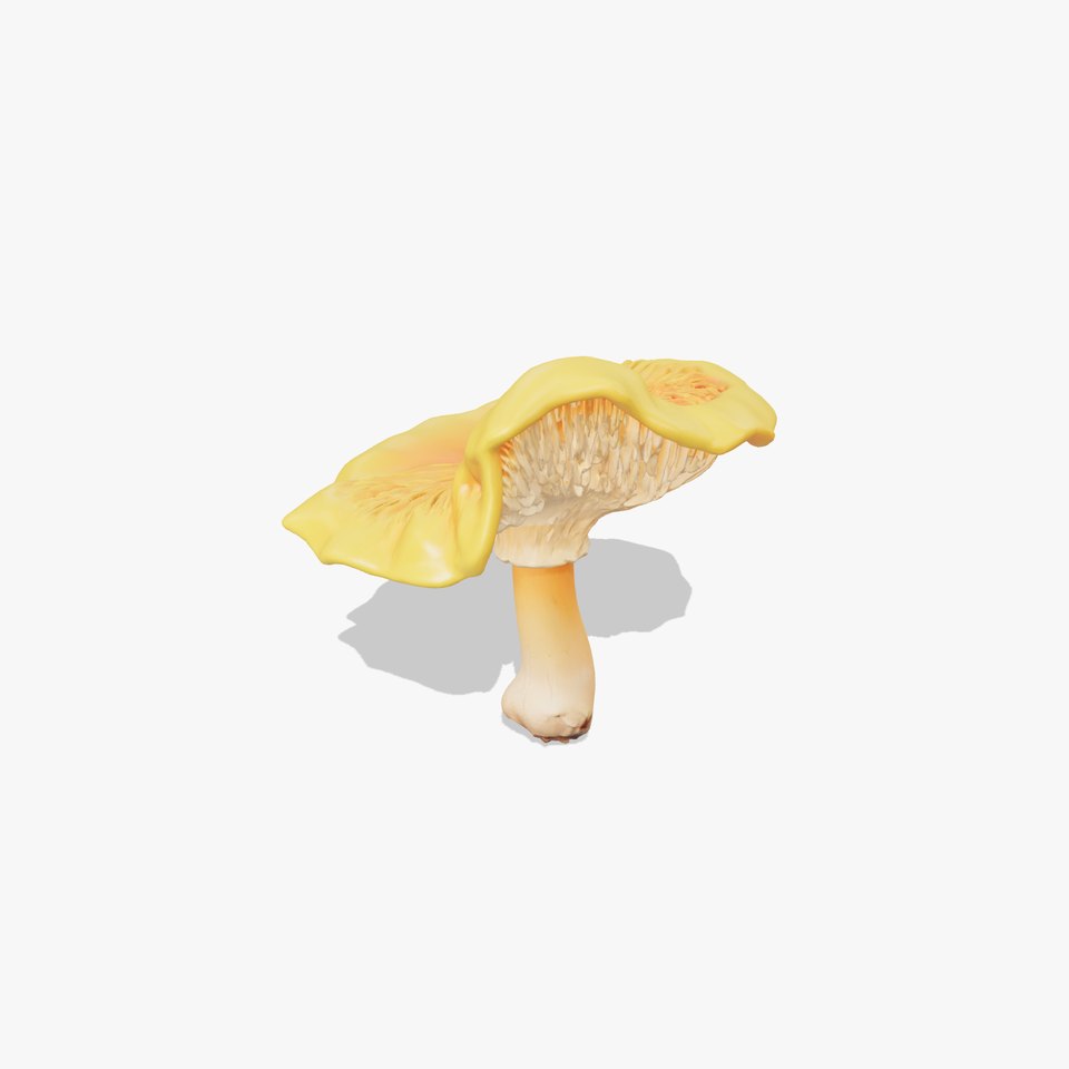 Vibrant Chanterelle Mushroom Classic Model Pack