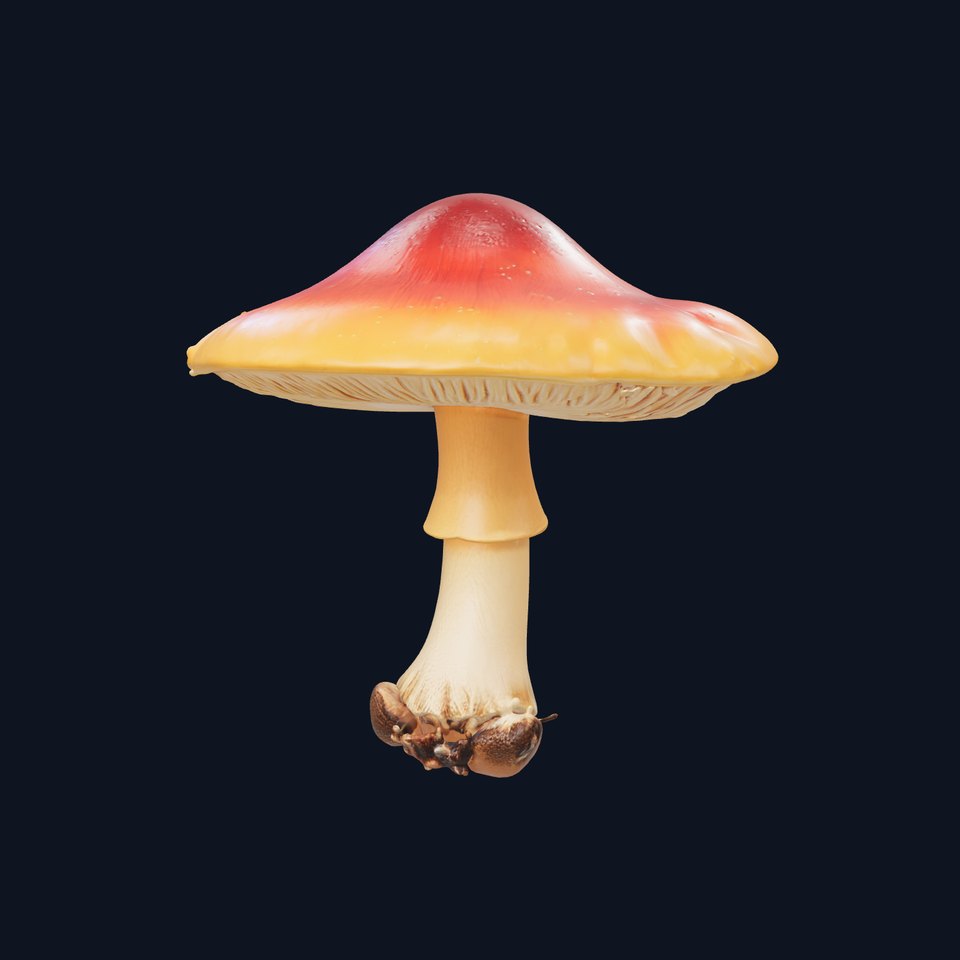 Chanterelle Mushroom Realistic Model Pack