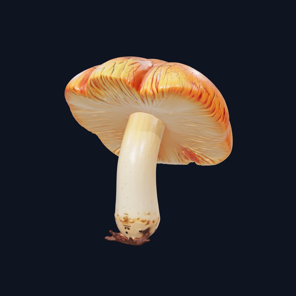 Chanterelle Mushroom Crack Texture Model Pack