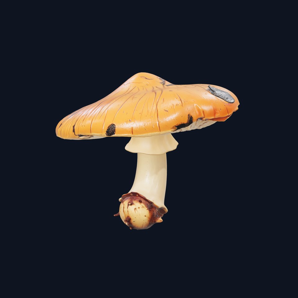Disturbed Chanterelle Mushroom with Marks model pack