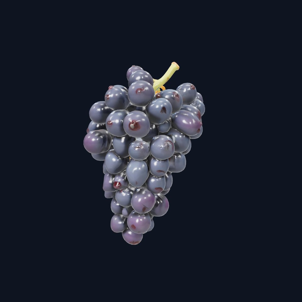 Elegant Black Grape Bunch model pack