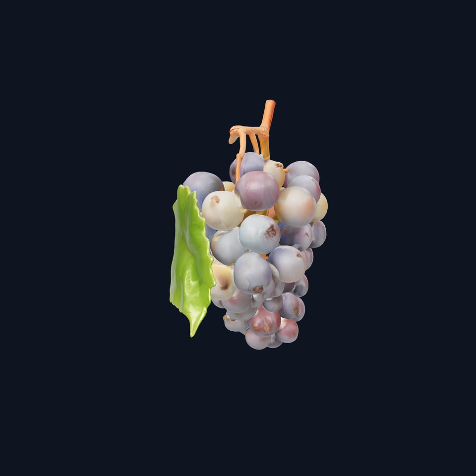 Organic Grape Bunch Natural Imperfections model pack