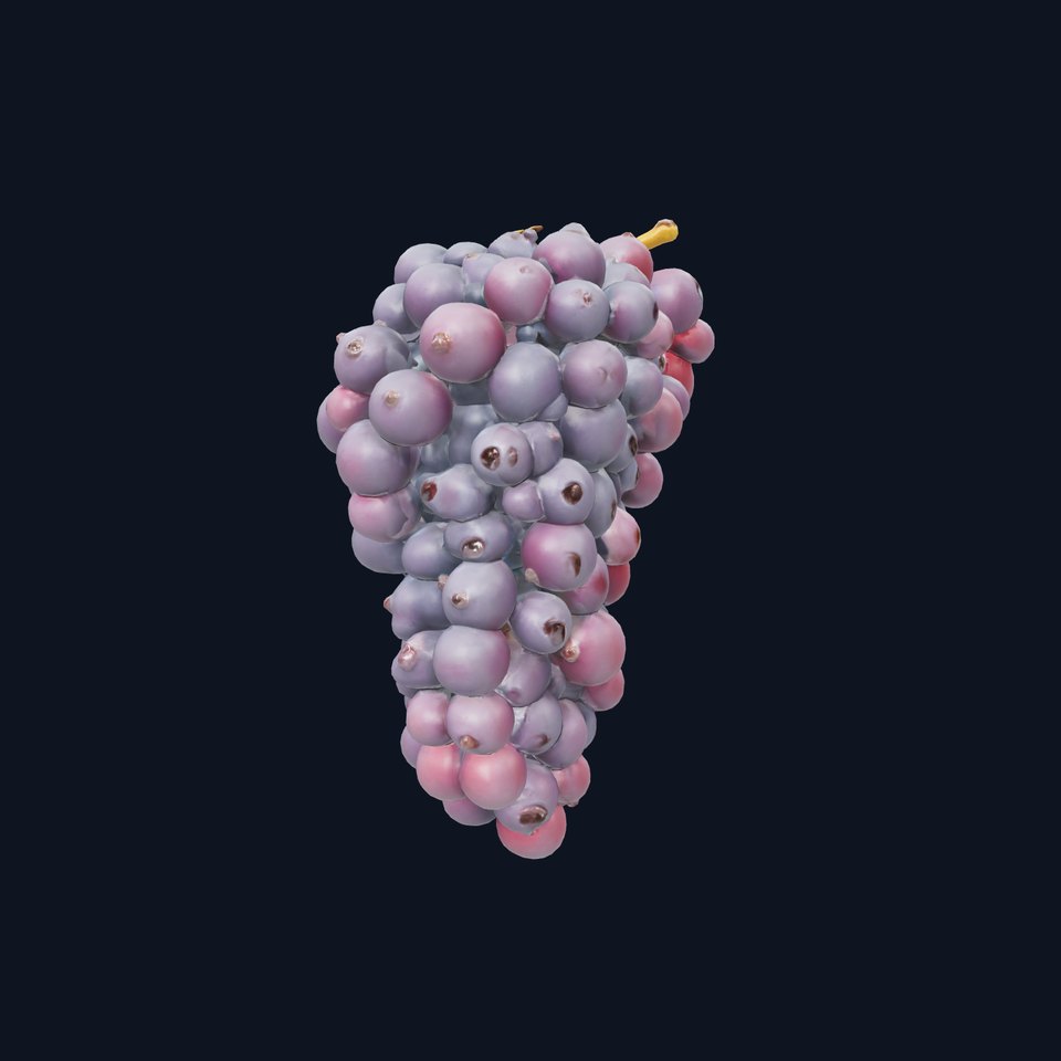 Giant Grape Bunch Model Pack