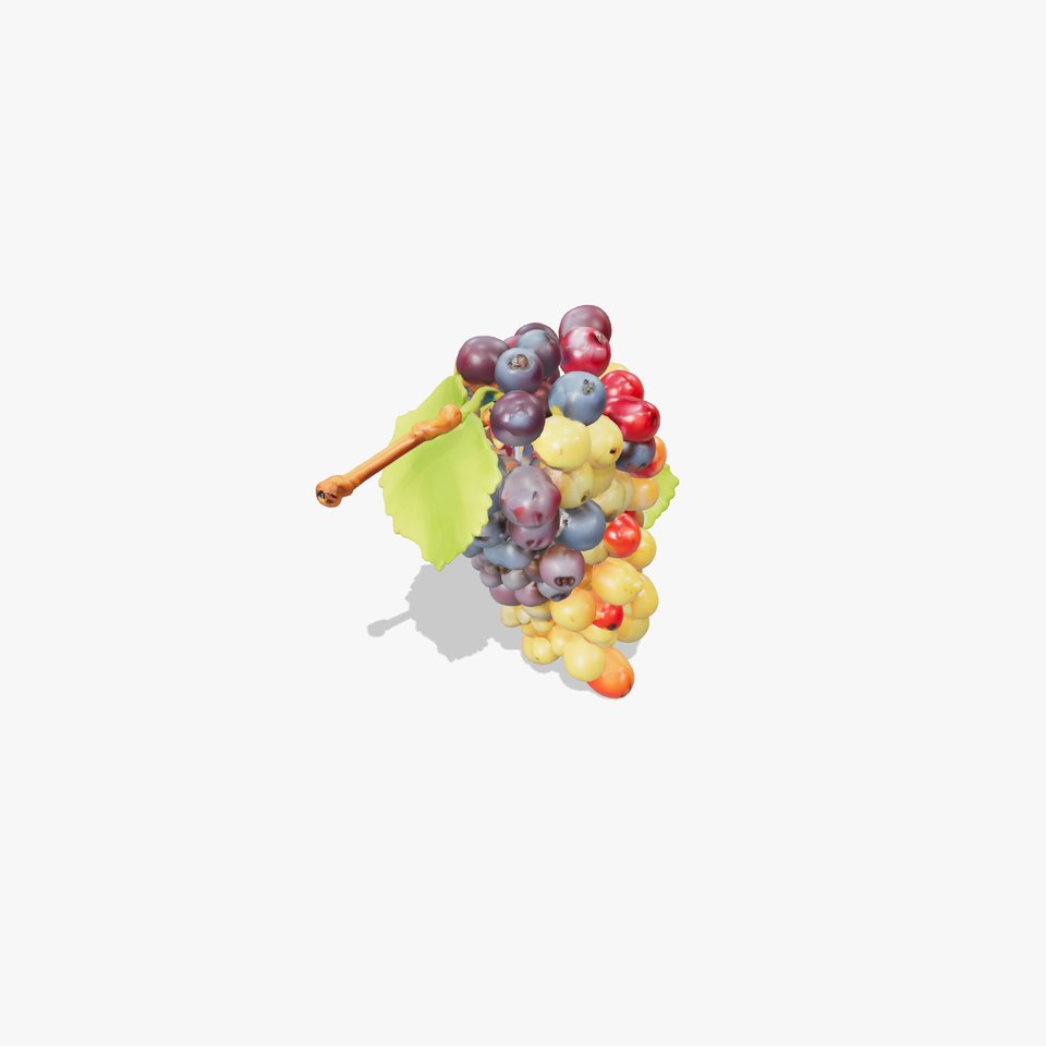Grapevine Harvest Bunch 3D Model Pack