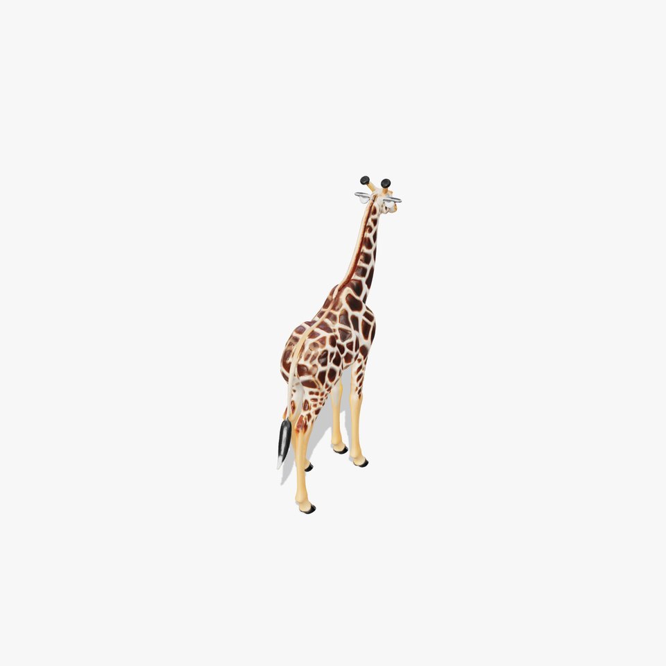 South African Giraffe Realistic Texture model pack