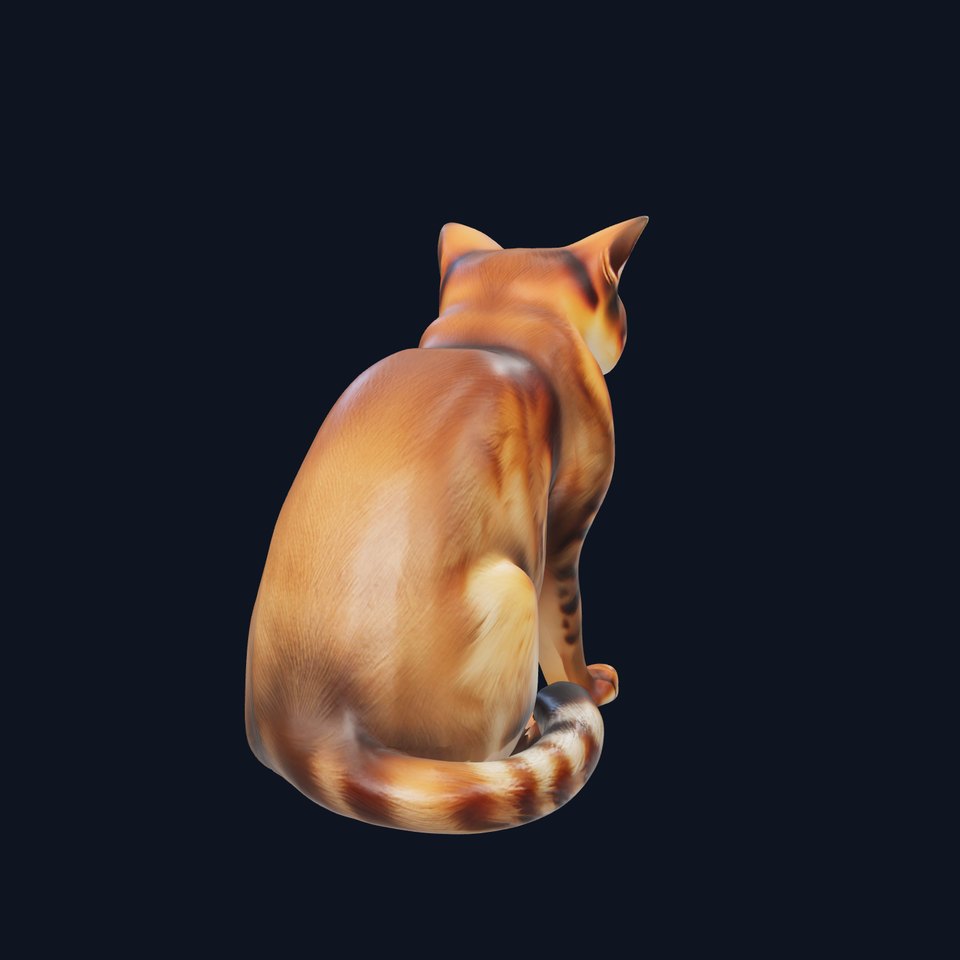 Realistic Domestic Cat 3D model pack