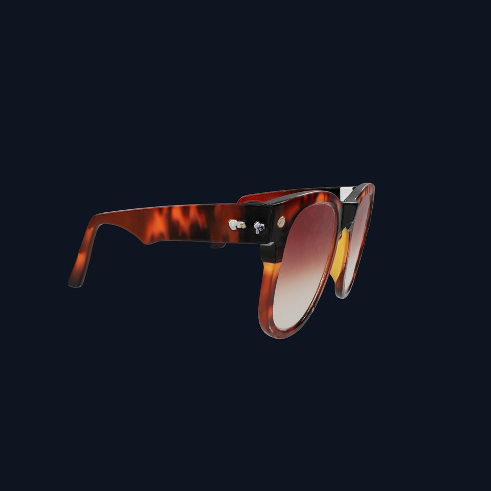 Tortoiseshell Designer Sunglasses Frame model pack