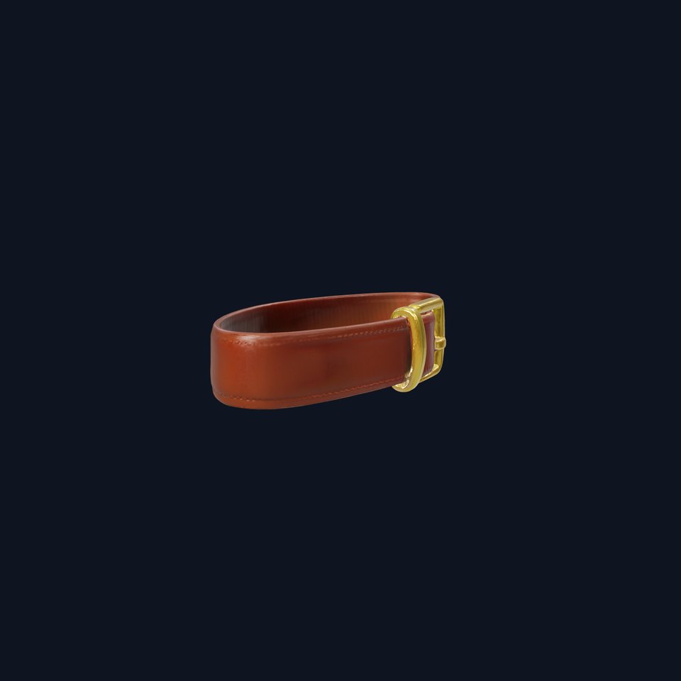 Classic Leather Belt with Gold Buckle model pack