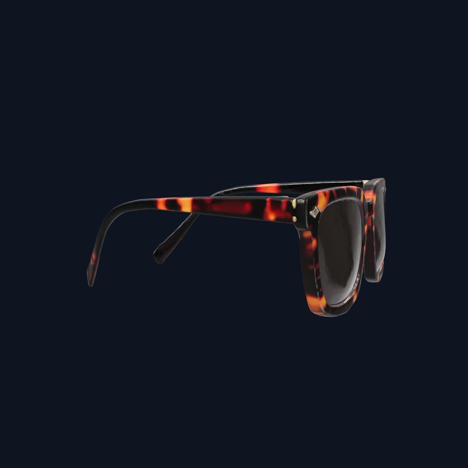 Vintage Square Tortoiseshell Sunglasses model pack